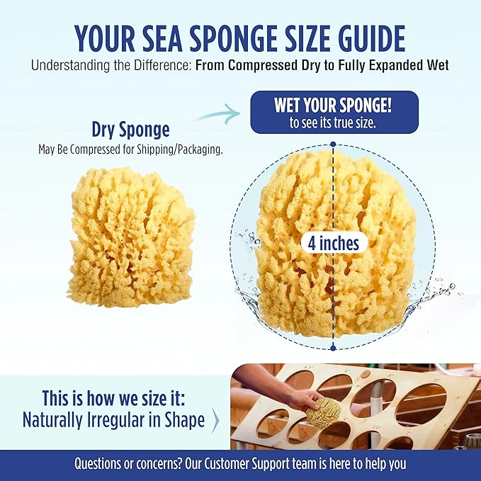 Baby Buddy Natural Baby Bath Sponge 4in Soft Grass Sea Sponge, Soft on Baby's Tender Skin, Biodegradable, Hypoallergenic, Absorbent Natural Sea Sponge, 2 Pack, Yellow