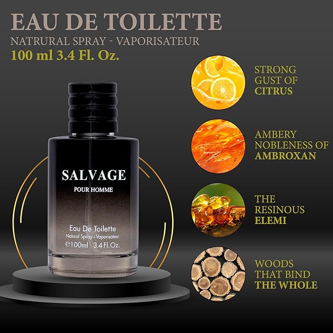 Salvage for Men 3.4 Oz Men's Eau De Toilette Spray Refreshing & Warm Masculine Scent for Daily Use Men's Casual Cologne Great Holiday Gift Smell Fresh All Day A Gift for Any Occasion