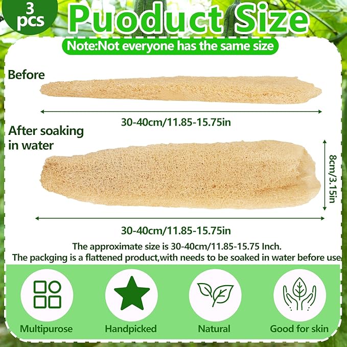 3 PCS Natural Loofah Sponges Organic Luffa Bath Shower Sponge Exfoliating Body Back Scrubber for Men Women Adults SPA Beauty Bathing or Kitchen Dishes