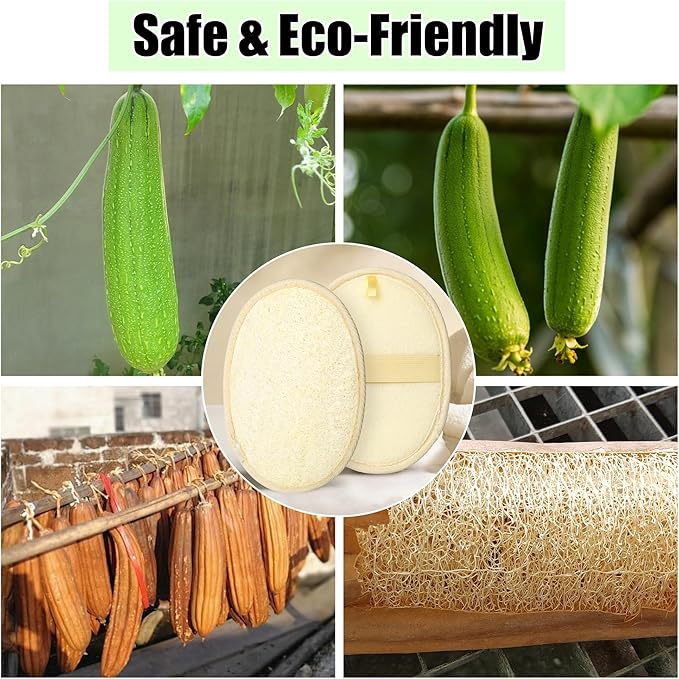 Natural Loofah Body Loofahs for Exfoliation (Pack of 2)- Eco-Friendly Material, Suitable for Shower and Bathtub Use, Exfoliating Loofah for Men and Women
