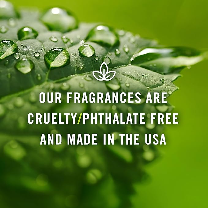 P&J Fragrance Oil | Brown Sugar Oil 30ml - Candle Scents for Candle Making, Freshie, Soap Making Supplies, Diffuser Oil Scents