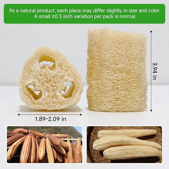 Natural & Biodegradable Loofah Bath Sponge - Deep Exfoliation for Soft Skin, Eco-Friendly Body Scrubber,Shower Loofah Exfoliator & Multipurpose Cleaner (Pack of 3)