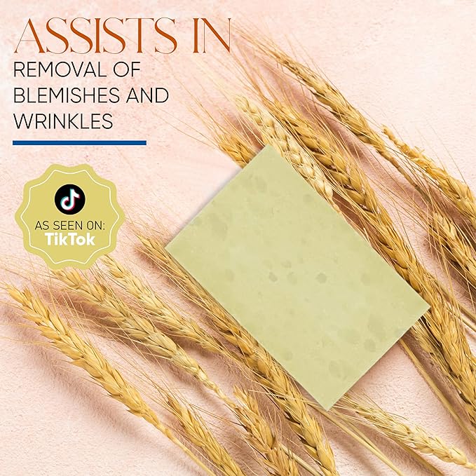 T.Taio Esponjabon Mother of Pearl Soap Sponge - Revitalizing Shower Scrubber for Bath Wash & Oil Removal - Bathroom Essentials with Fresh Scents - Oat with Mini