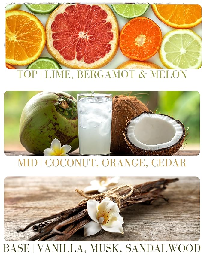 Coconut Lime Verbena Delicious Natural Pure Essential and Fragrance Oil Perfume Roll On with Organic Jojoba Oil, Eau de Toilette, Small-Batch, Alcohol Free, Handmade in California