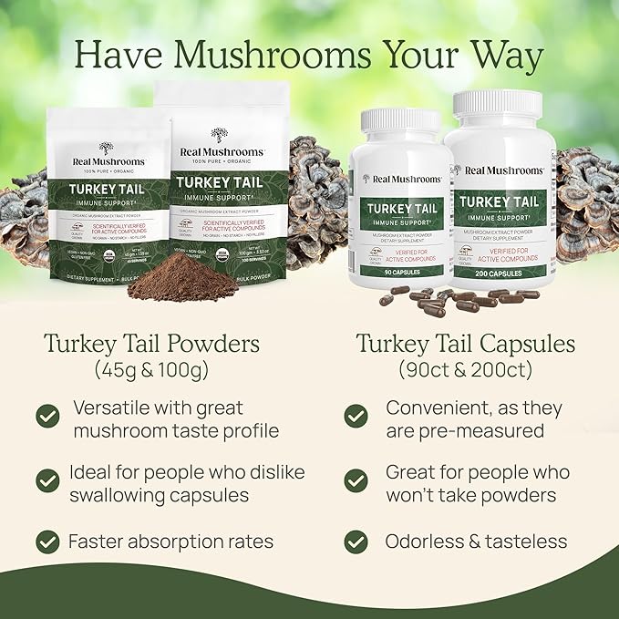Real Mushrooms Turkey Tail Capsules – Organic Mushroom Extract for Wellness & Daily Rhythm – Vegan, Non-GMO, No Fillers Turkey Tail Extract – 90 Count Mushroom Supplement