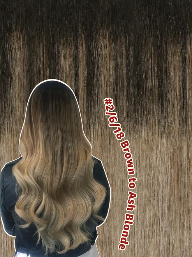 Clip in Hair Extensions Real Human Hair 6pcs 120g 22 Inch Balayage Dark Brown to Dirty Blonde Double Drawn Clip in Hair Extensions (#2/6/18, 22")
