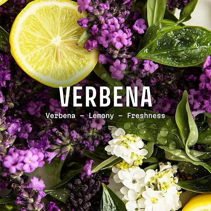 Panier des Sens - Verbena Eau de Toilette 1.7 Floz - Fresh & Lemony Fragrance - Daily Light Perfume for Women - Parfum Crafted in Grasse, France - Gifts for Her - Elegant Packaging