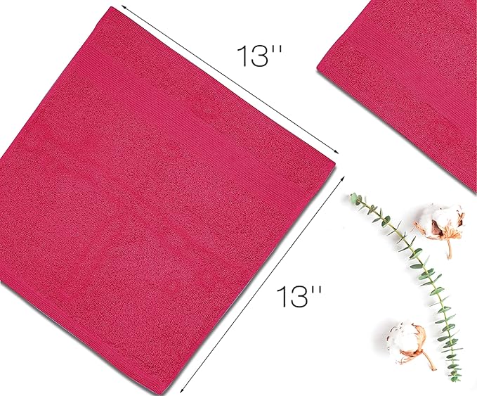 Premium Wash Cloths Pack of 12 (13" x 13") 100% Ring Spun Cotton | Luxury Washcloths | Ultra Soft Face Towels | Highly Absorbent Wash Cloths for face (Raspberry)